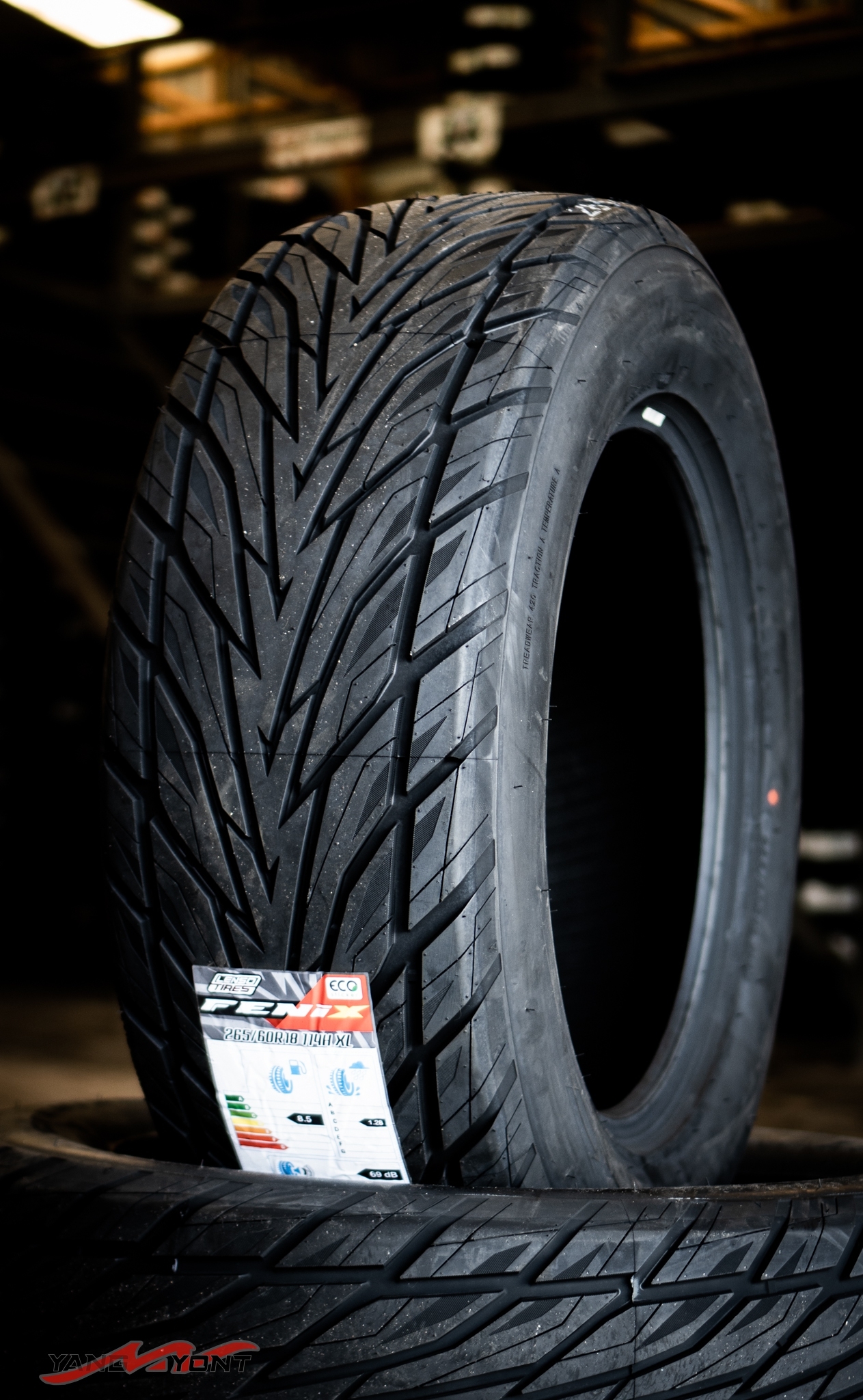 265/50R20 Fenix